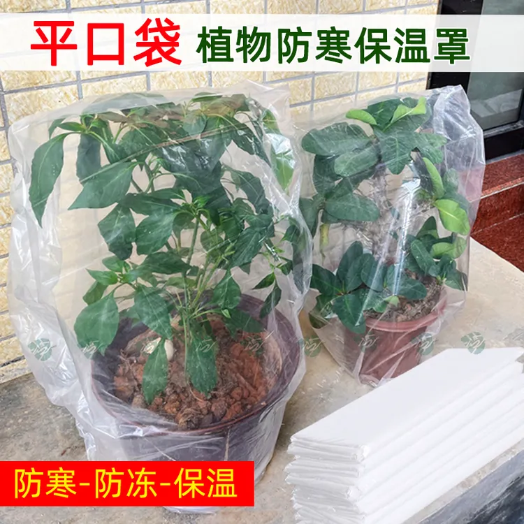 透明袋绿植防冻保温袋塑料膜花卉盆栽过冬保护罩树木防寒保暖防尘