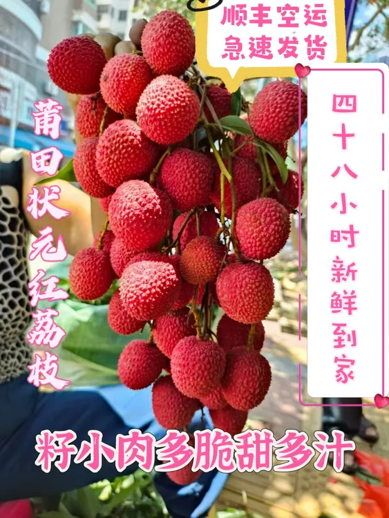 正宗莆田状元红小籽荔枝多汁千百年老树新鲜采摘顺丰空运5贵妃斤9
