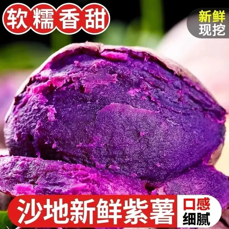 【全爸推荐】新鲜紫薯粉糯紫罗兰番薯农家沙地地瓜紫皮烤番薯山芋