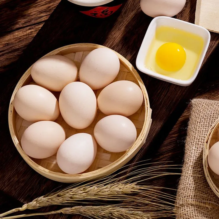农家散养新鲜鸡蛋新鲜土鸡蛋50粒散养土鸡蛋生蛋健康营养