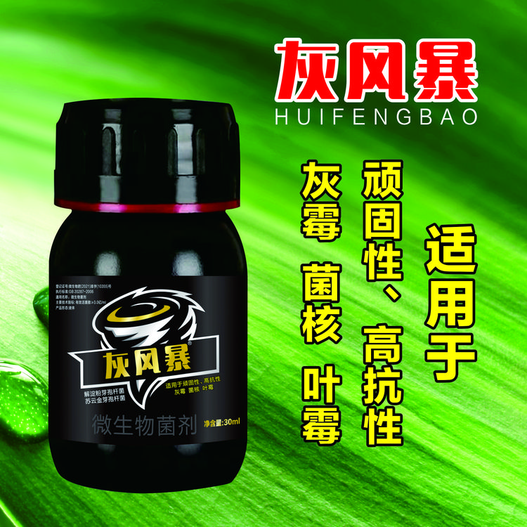 【灰风暴】灰霉病 菌核 草莓番茄黄瓜葡萄