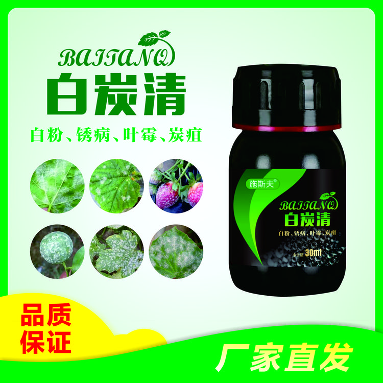 施斯夫白炭清草莓黄瓜辣椒通用白粉病炭疽病杀菌防病微生物