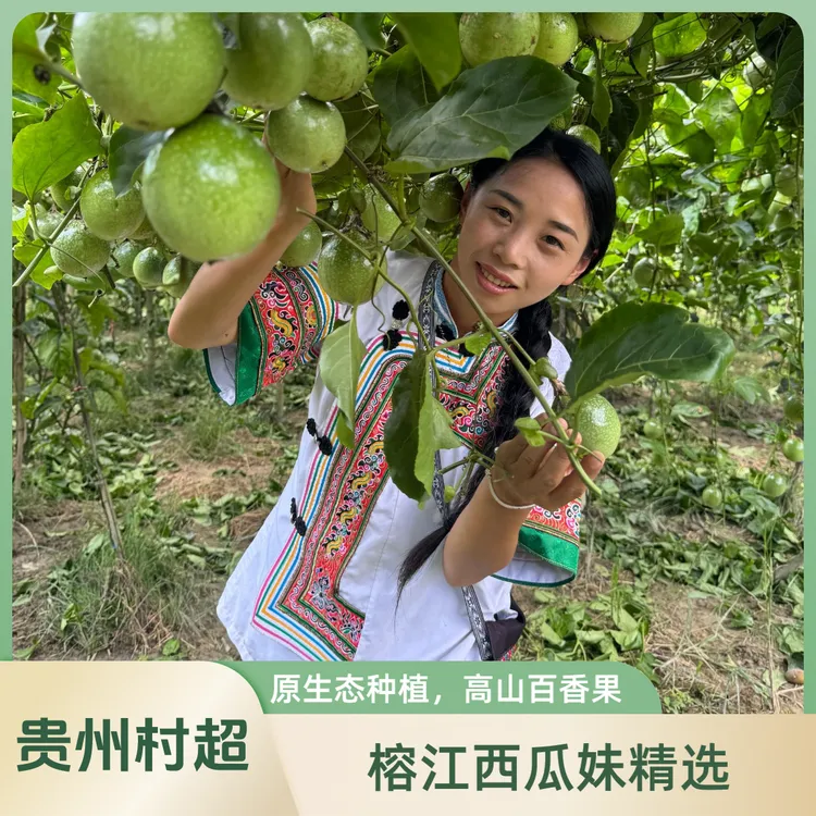 （大果）黄金百香果贵州村超胜地新鲜香甜多汁营养