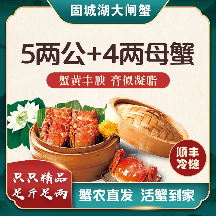 【5两公+4两母蟹 活蟹现发】固城湖精品大闸蟹  去绳净重  新鲜直达