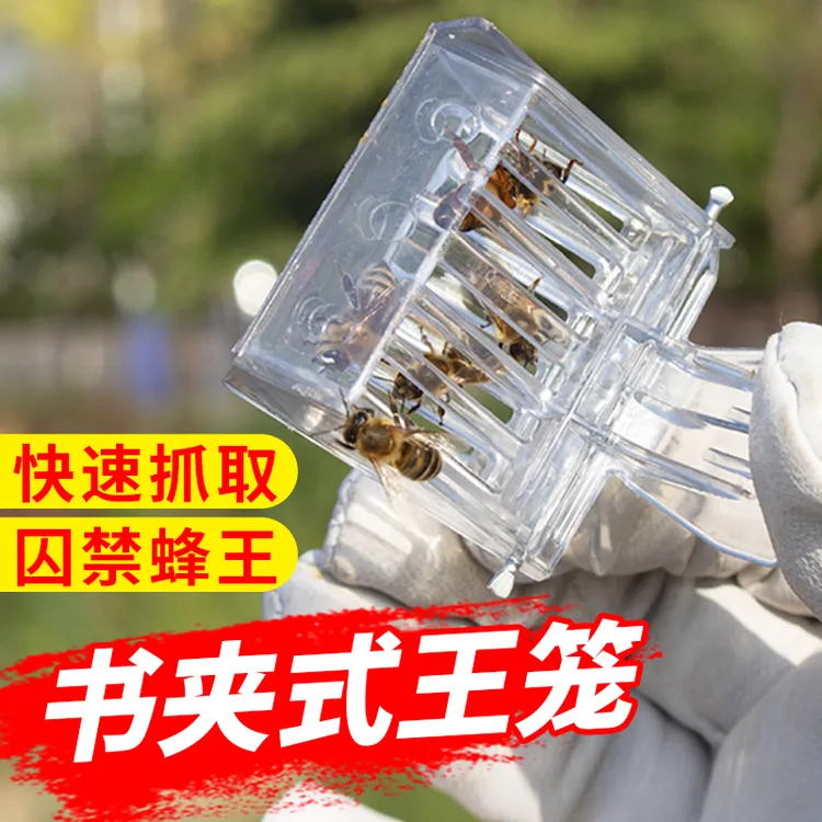 优质蜜蜂夹子蜂王笼中意蜂书夹囚王笼关王抓蜂王专用养蜂工具包邮