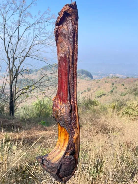 正宗农家熟食喂养柏树枝烟熏（现场称重）