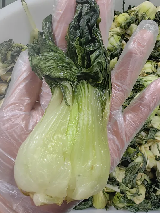 苏北嫩咸菜新鲜咸菜