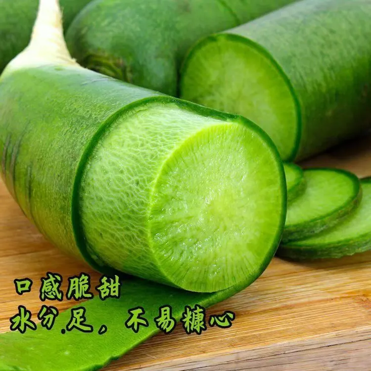 潍坊特产新鲜水果萝卜产地直发营养丰富清脆多汁微辣爽口经济实惠商品图