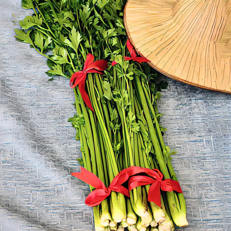 新鲜许村芹菜去老梗老叶微甜可生吃榨汁