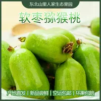 DD【变软再吃】丹东特产新鲜绿心猕猴桃香甜好吃软枣猕猴桃顺丰包邮