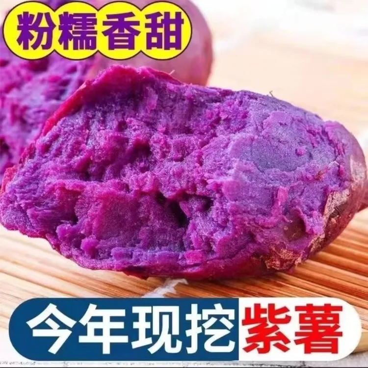【爷爷家的紫薯】5/10斤新鲜当季沙地紫心红薯番薯紫罗兰蜜薯地瓜
