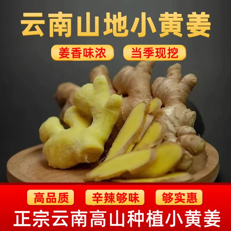 云南小黄姜山地种植【老姜】香味浓郁辛辣够味产地直销生姜新鲜姜