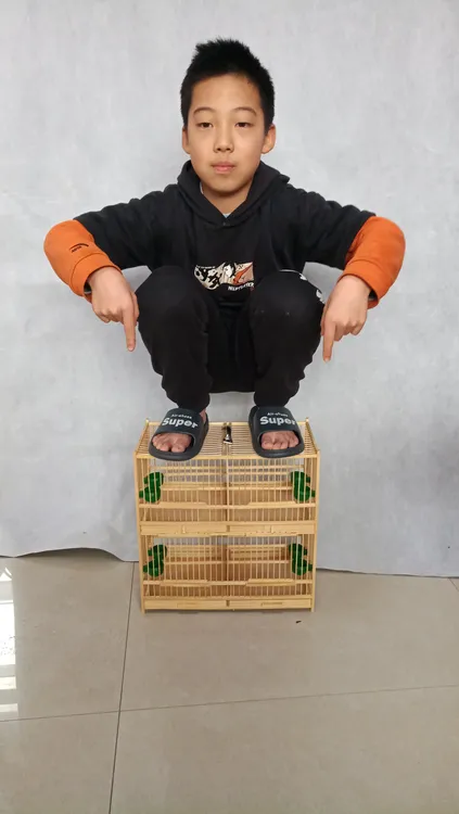 玉鸟绣眼贝子柳莺黄腾文鸟黄鸟四格排笼40*22*40厘米1.0至1.1丝距