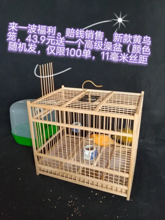 来一波粉丝福利，新款黄鸟笼送高级澡盒（颜色随机发）只限100单