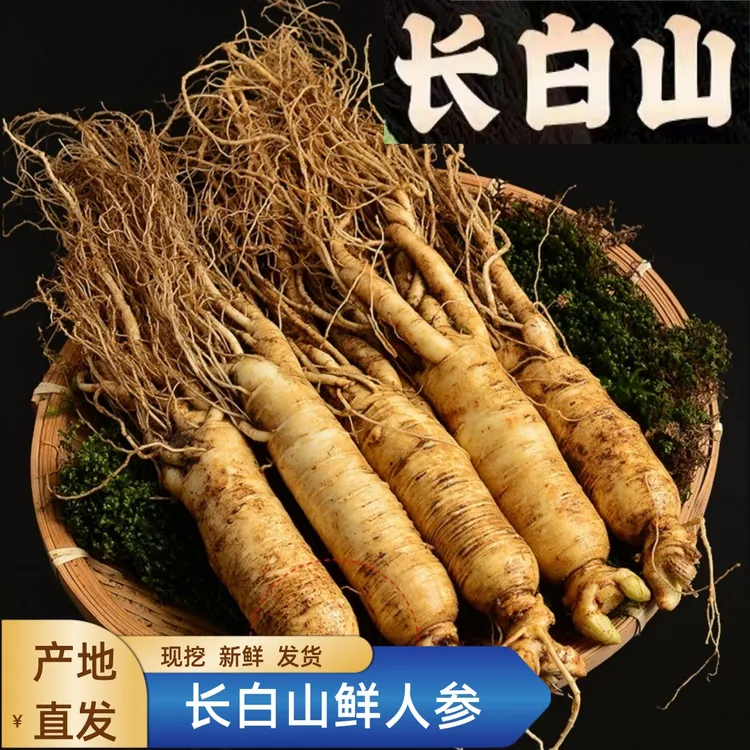人参2025年长白山新鲜人参单枝45g-55g泡水泡酒煲汤产地直销