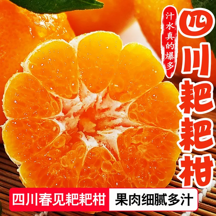 四川春见耙耙柑2斤/4.5-8斤柑橘子桔子丑八怪丑橘新鲜水果香甜