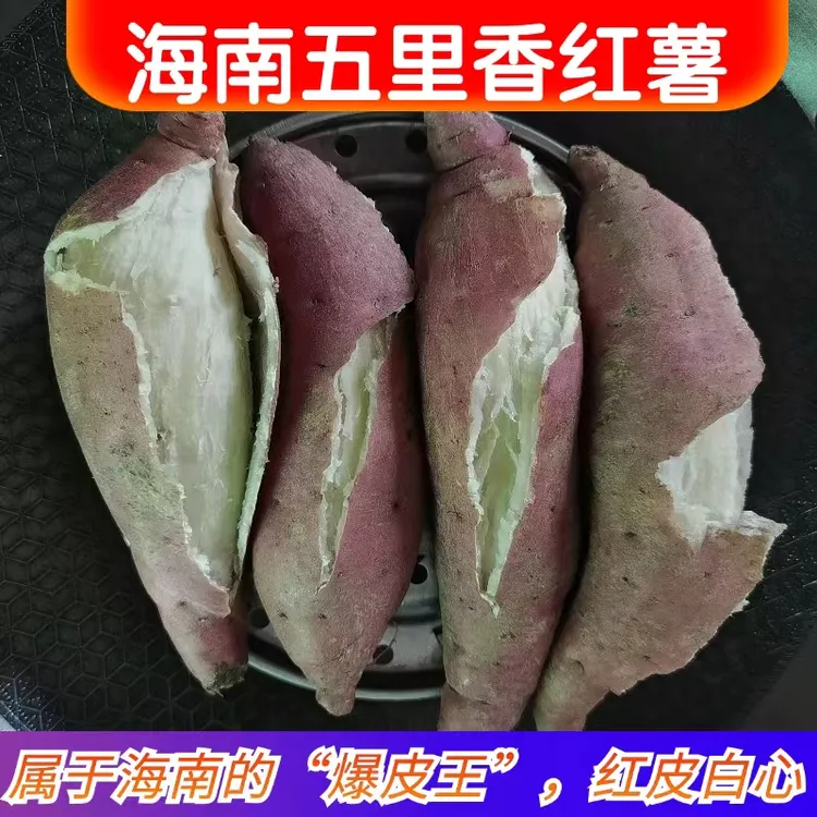 海南白心红薯五里香地瓜新鲜板栗薯糯香甜三角宁牛奶薯爆皮王番薯