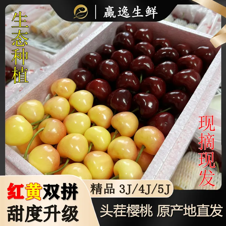 『双拼』大连大樱桃红黄双拼顺丰空运精品雷尼尔3J1.8斤 内附果径卡