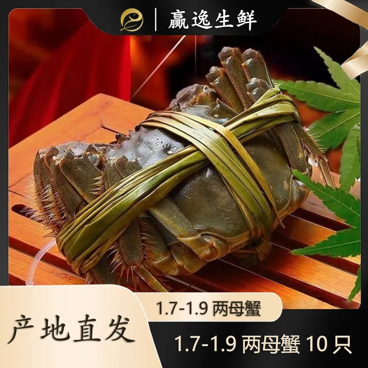 【活蟹】盘锦河蟹1.7-1.9两 母蟹2斤螃蟹京东包邮 螃蟹礼盒装