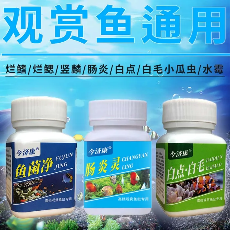 养鱼必备鱼菌净白点白毛鱼肠炎鱼肠道问题趴缸烂尾烂鳍烂鳃竖麟