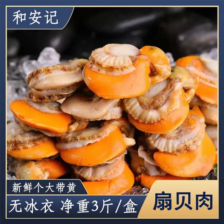 新鲜长岛扇贝肉3斤/盒无泥无沙无冰带膏带黄新鲜冷冻顺丰冷链发货