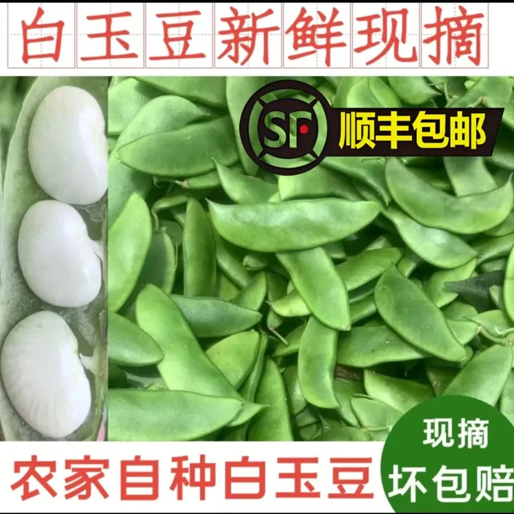 【顺丰包邮】洋扁豆白玉豆新鲜现摘现发福建南通特产泡沫冰袋保鲜 