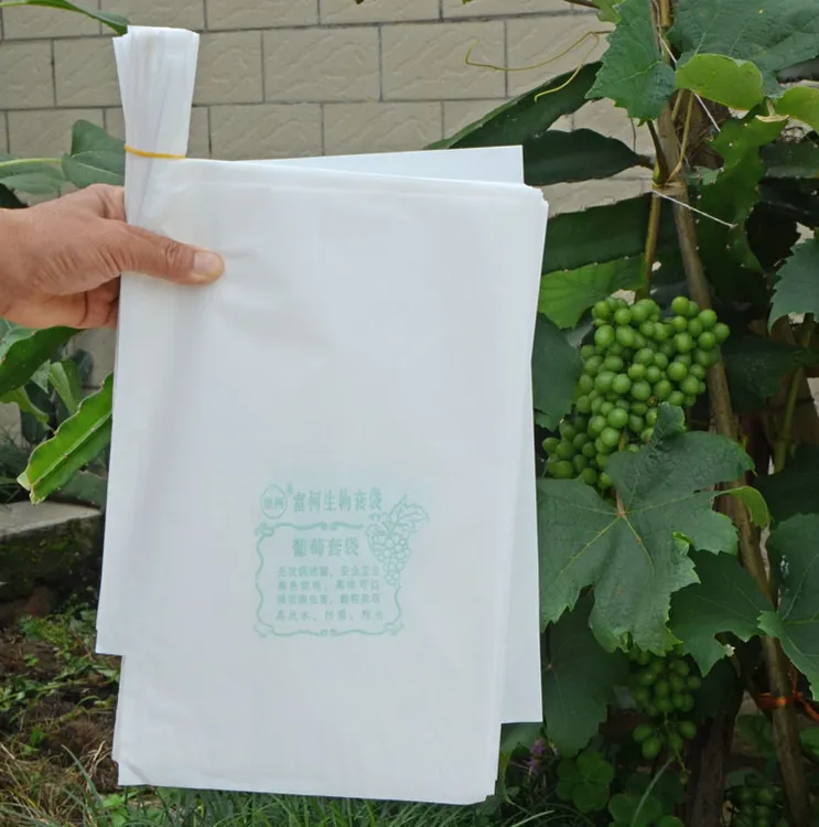 葡萄套袋葡萄袋葡萄专用套袋防虫鸟防雨水袋子厂家木浆纸保鲜袋子