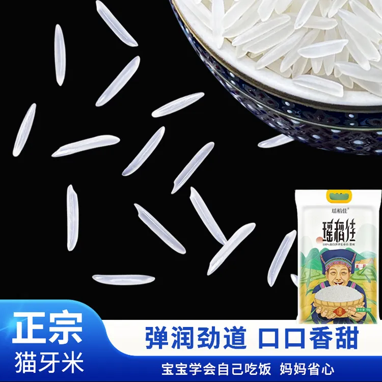 瑶稻佳2025新米广西大瑶山农家猫牙米正品长粒香大米煮饭软糯香米