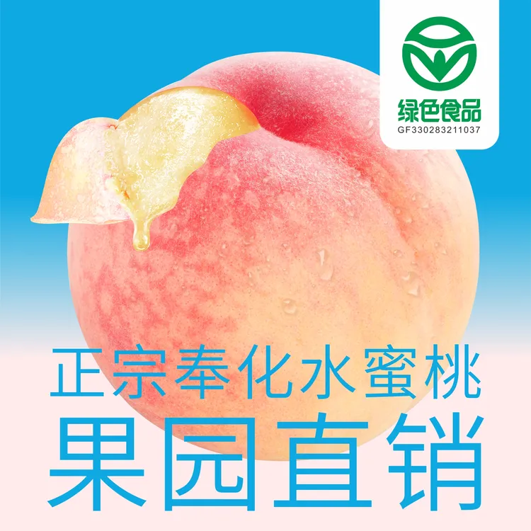 知桃正宗宁波奉化水蜜桃12只装新鲜采摘皮薄多汁鲜甜