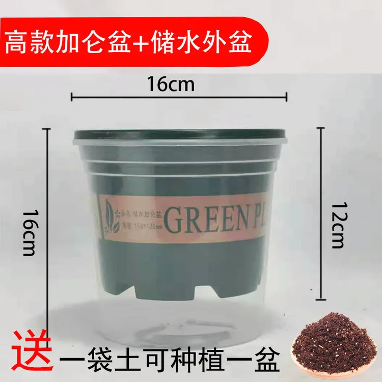 买花盆送花土懒人加仑盆自动吸水花盆