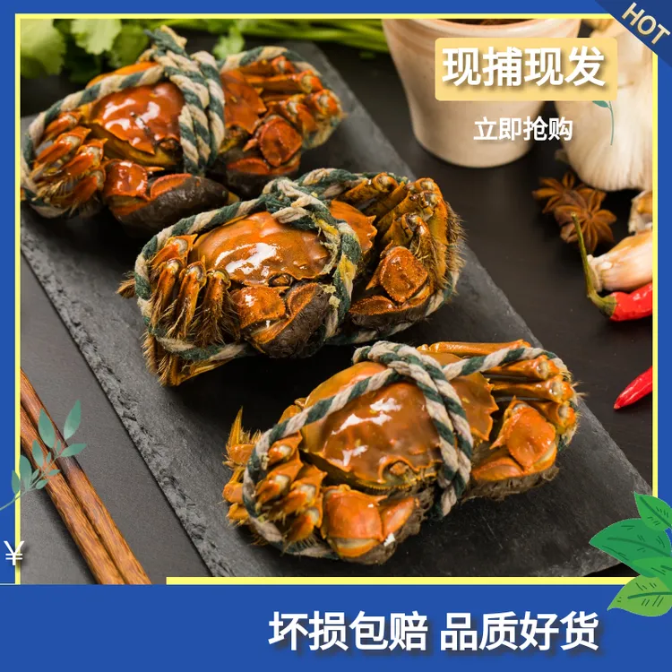 【活蟹直发】兴化大闸蟹2.9-3.1两纯母蟹 共10只 鲜活母蟹精品成蟹
