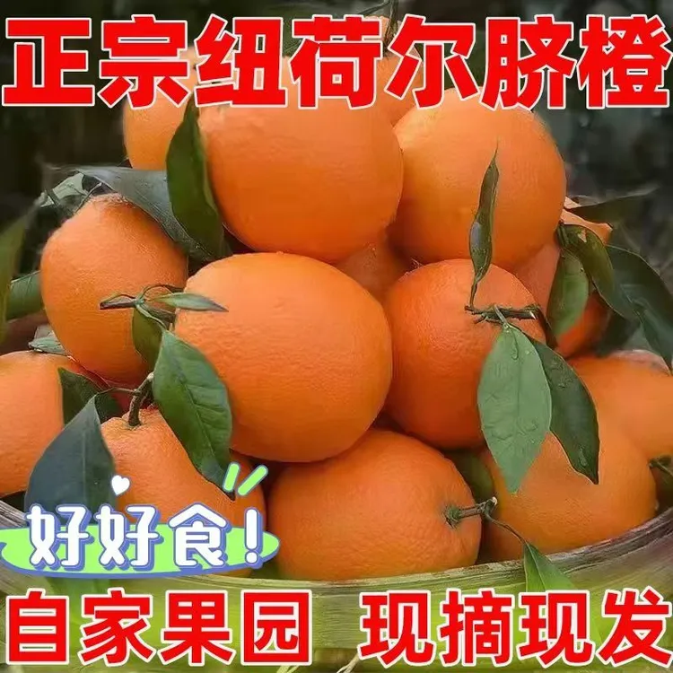 正宗秭归纽荷尔脐橙新鲜应季水果脐橙整箱皮薄香甜爆甜多汁