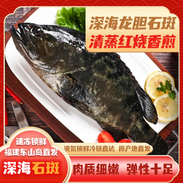 深海龙胆石斑鱼速冻发货福建东山岛海鲜深海石斑鱼肉质厚实少杂刺