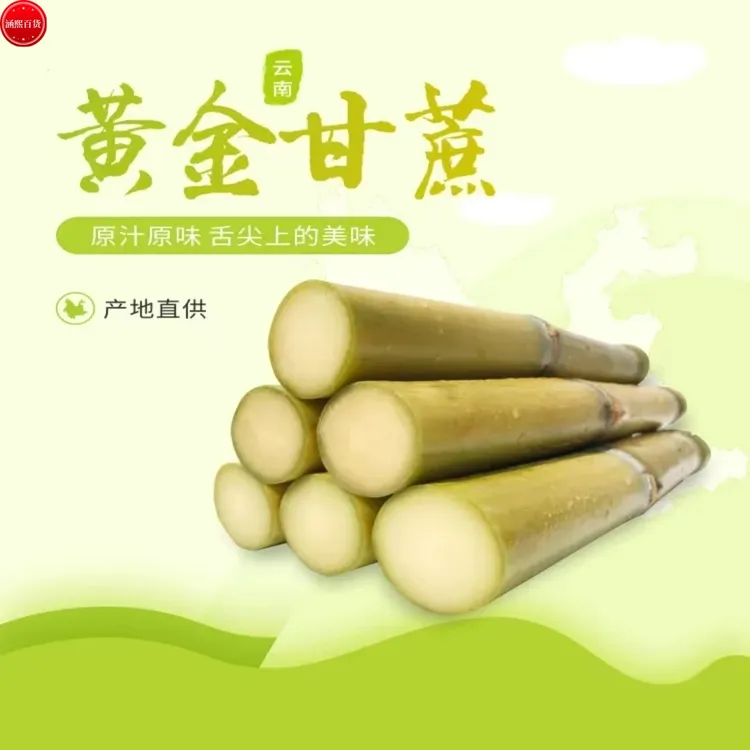 云南新鲜多汁黄金甘蔗清甜爽口营养丰富产地现发黄皮青皮脆皮