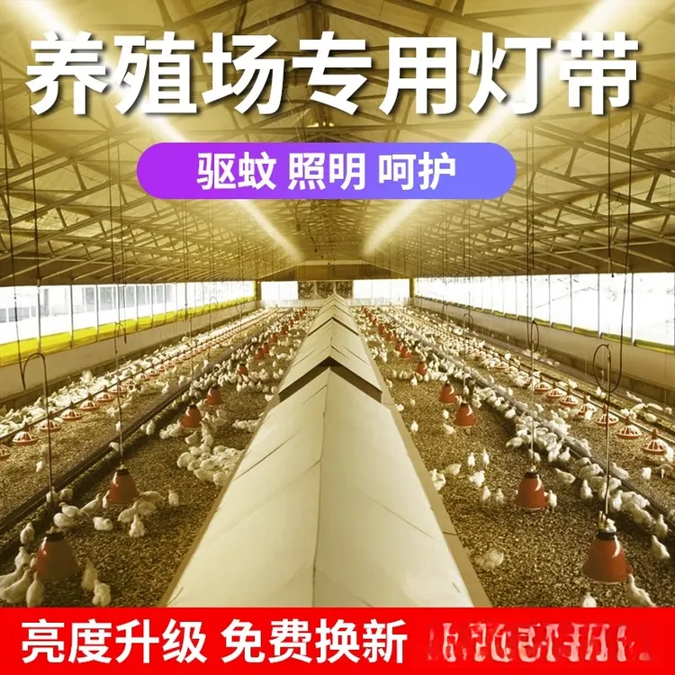 led养殖场专用灯带户外防水220v鸡舍工地工程照明亮化灯驱蚊灯带