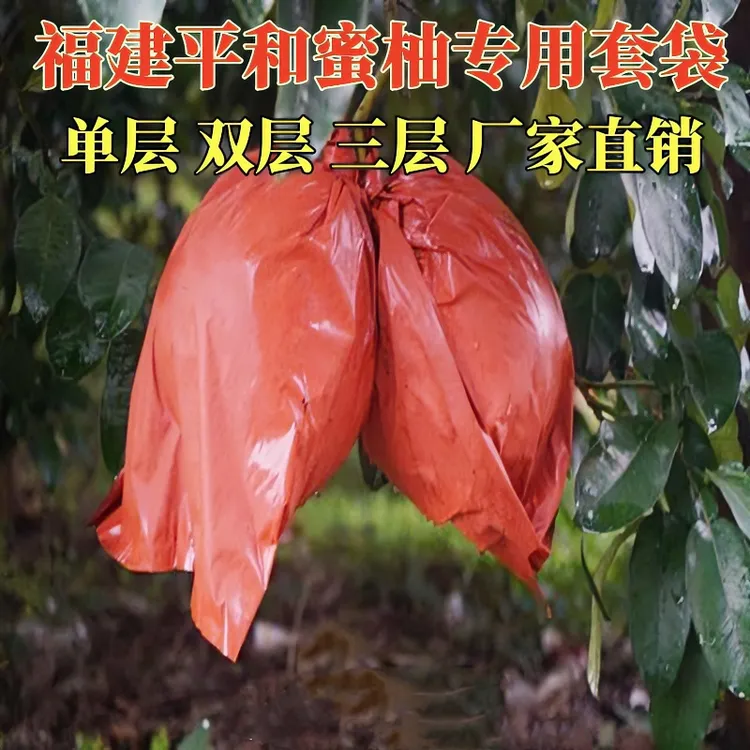柚子专用套袋蜜柚果袋沙田柚刀把型双层套袋葡萄柚防鸟防虫水果袋