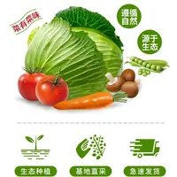 金普溯源蔬菜组合5斤1箱新鲜采摘 京东送货上门