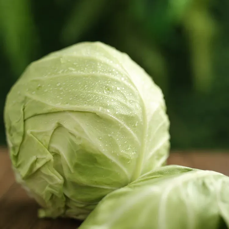 大连溯源大头菜2.5斤京东送货上门