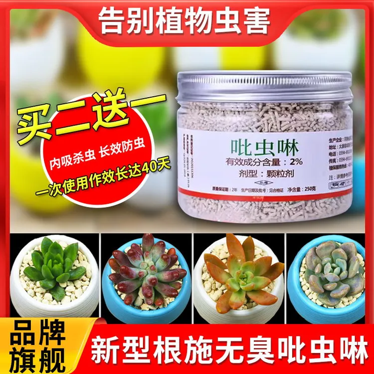 小白药多肉介壳蓟马蚜虫防虫药花卉通用杀虫室内无臭低毒吡虫啉