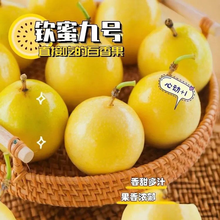 x广西钦蜜九号黄金百香果自制饮料柠檬果茶新鲜采摘营养果肉饱满