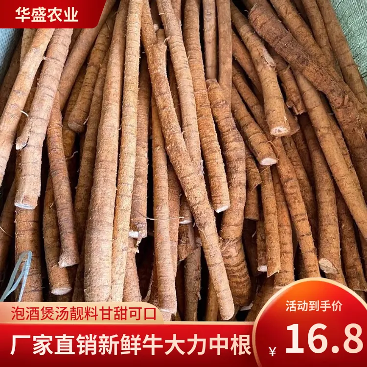 新鲜牛大力根 中根500g 大力薯根牛大力根种植泡酒料煲汤料包邮