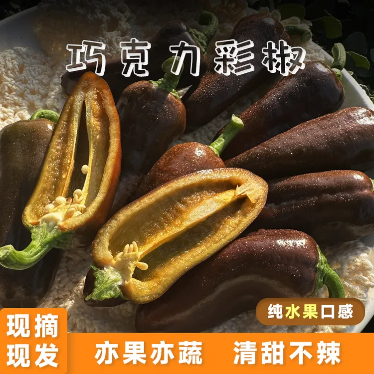 【顺丰/京东包邮】蔬菜水果椒1/3斤迷你小辣椒巧克力健身沙拉食材