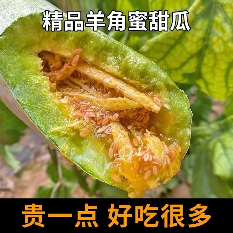 【京东快递】山东头茬羊角蜜瓜水果新鲜3/4.5斤香瓜蜜瓜香甜