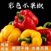 【顺丰/京东包邮】山东现摘红黄双色五彩椒水果椒(净重1-5斤)