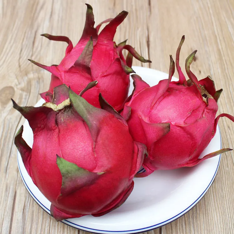 【产地直供】广西火龙果金都一号红心火龙果新鲜采摘鲜红果园直供