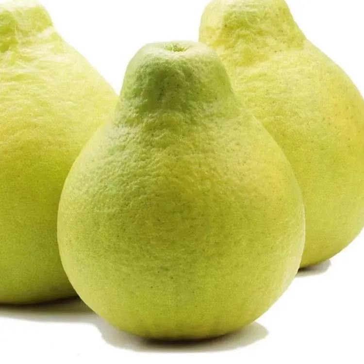 广西沙田柚纯甜无酸容县特产柚子袋装30斤、50斤广东广西包邮