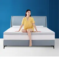 【榻榻米】梦百合舒梦双面睡感榻榻米家用记忆绵床垫慢回弹dr
