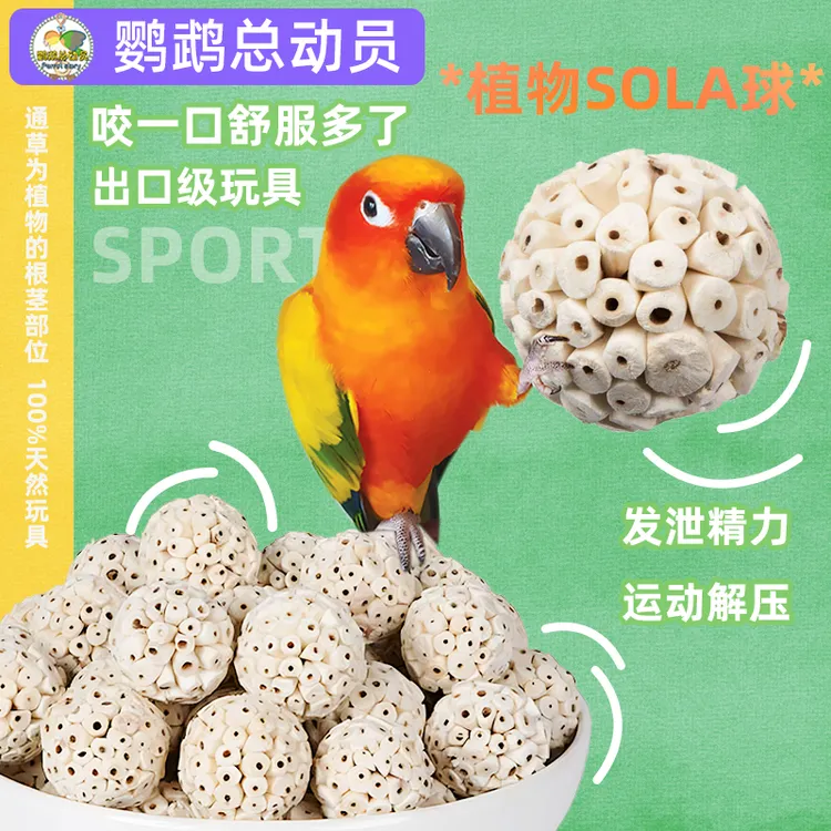 鹦鹉玩具通草球玄凤解闷自嗨啃咬解压磨牙觅食咀嚼用品大全纯天然