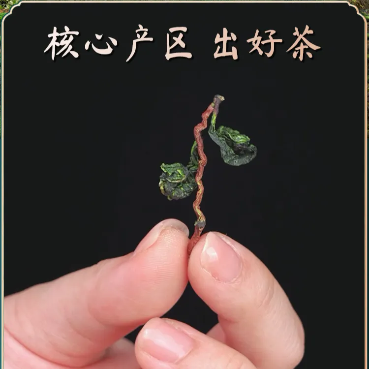 铁观音2025新茶安溪正宗高山铁观音浓香型铁观音安溪铁观音商品图