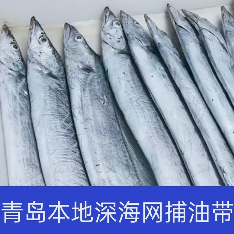  5斤青岛正宗本地大号网带整条新鲜深海小型小眼油带鱼北方产地